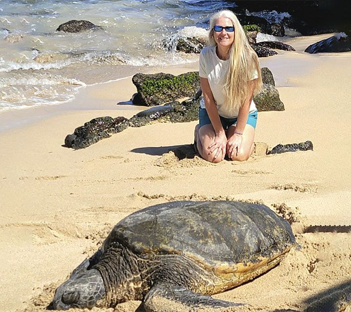 turtle on sand at the beach